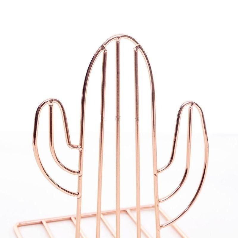 accessoire de décoration serre livre cactus