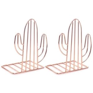 serre livre cactus