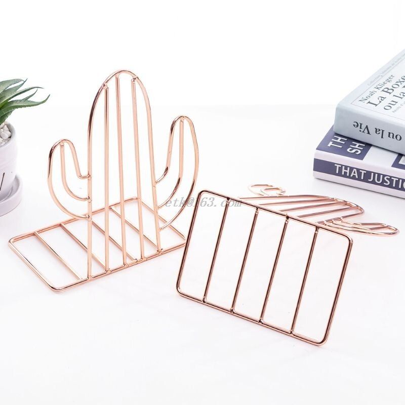 serre livre décoratif cactus